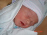 Ilan Stavros - 1st day